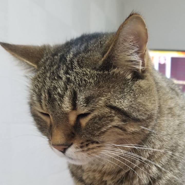 974328ec 5526 4f2e 8c56 4dee5323a71e 1593639828021