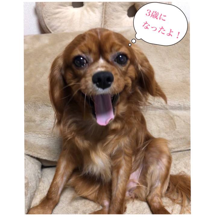 97435fdb 09d5 45f1 9f7d e592dafb8a44 1550614292761