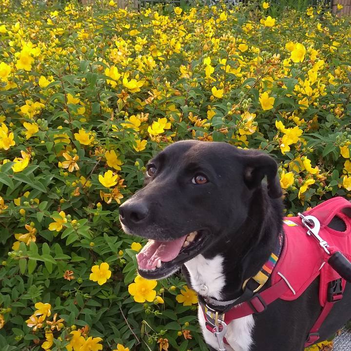 974371ab a17c 4980 b2dd 02afd15608dd 1591629681058