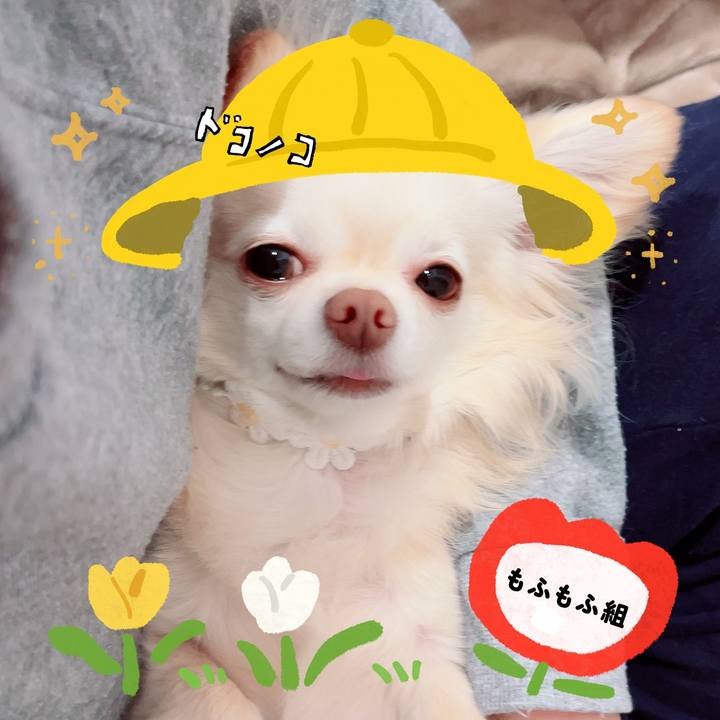 974371c3 f1d3 4582 9fb7 47aac979a39f 1712238825179