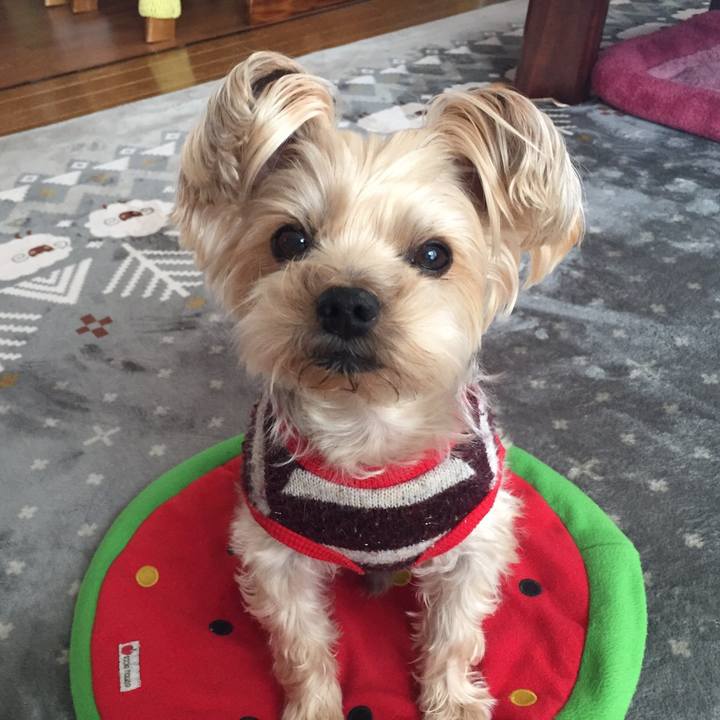 9743f2d7 32e2 4181 bf82 ddd862a8b064 1521776245647