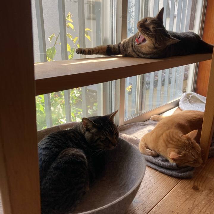 974405b8 9197 491a b945 f971244c6cbb 1716418743634