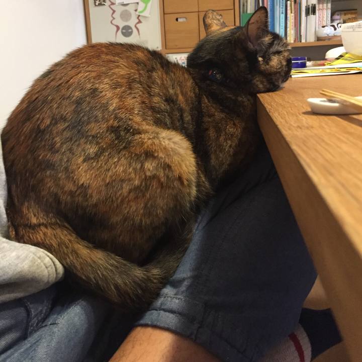 97442f77 8758 446b ab1c e7ba4f062c44 1539778165487