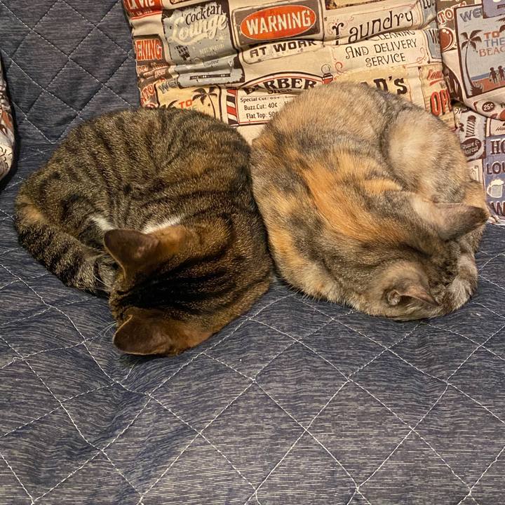 974444ad f58f 4b80 a1e7 a38a96ea9d78 1585707500776