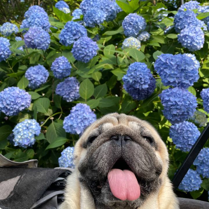 97446673 c4b9 42d9 8a19 76d6bb7cf870 1756769801423