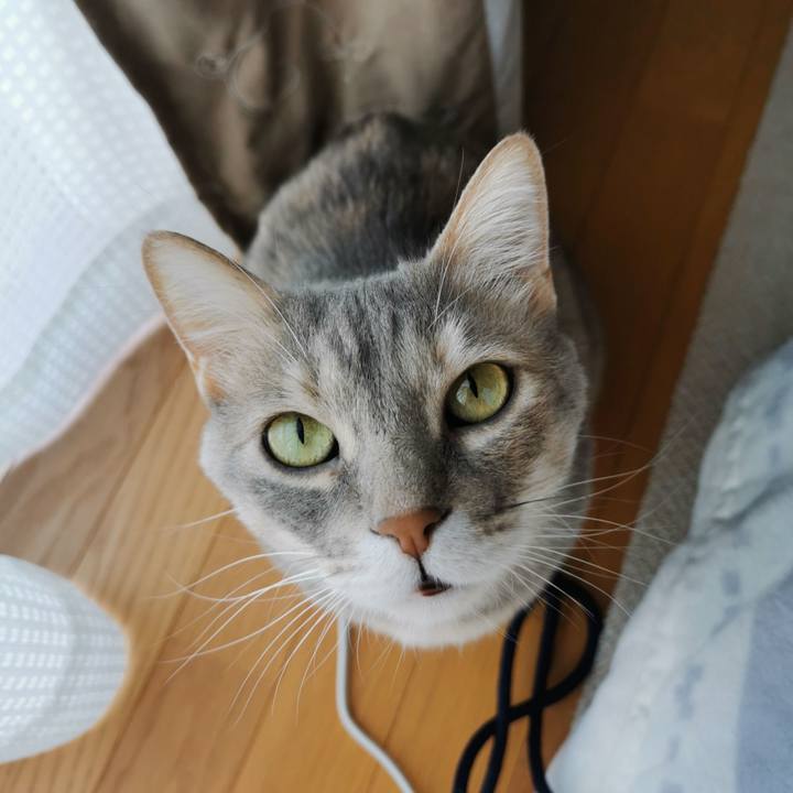 97446d18 3de7 4519 b59f dc9a0a2d4e3e 1618129963474