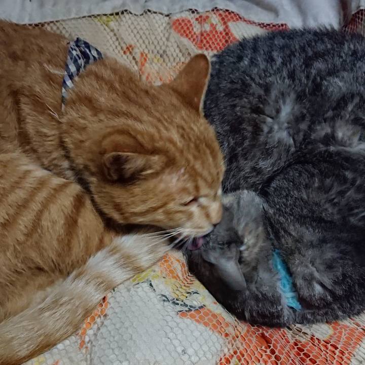 9744798c d6d6 436f 949b a2b27ac1e23d 1572522879583