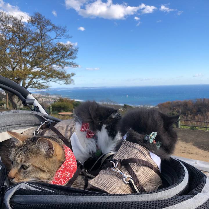 9744d3ff 57ee 47ab b753 4b195dff7463 1671348795957