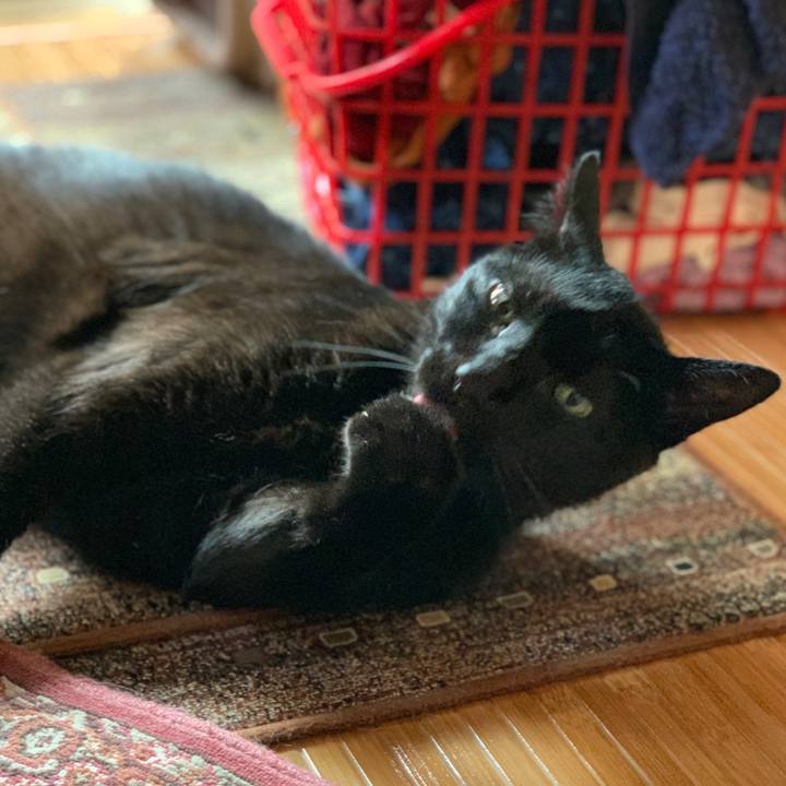 974504fb f159 4f3e a6a5 10acb3800e0b 1561421073666