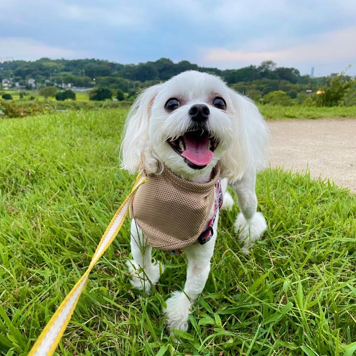 9745171e 197b 4319 aeec 326ac6fa6d54 1630293836068