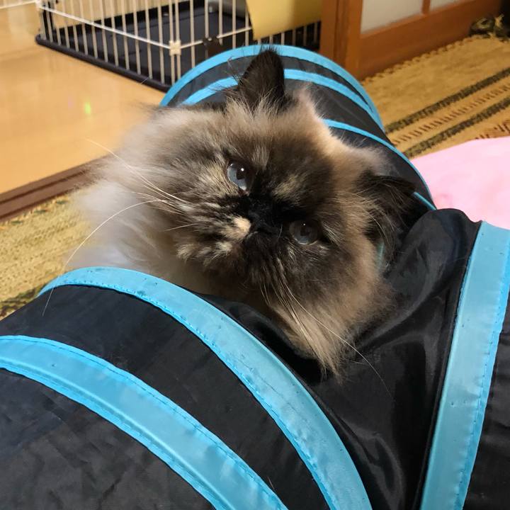 97452322 0b25 421d a8bb 73ff37f4b6c4 1652271500220