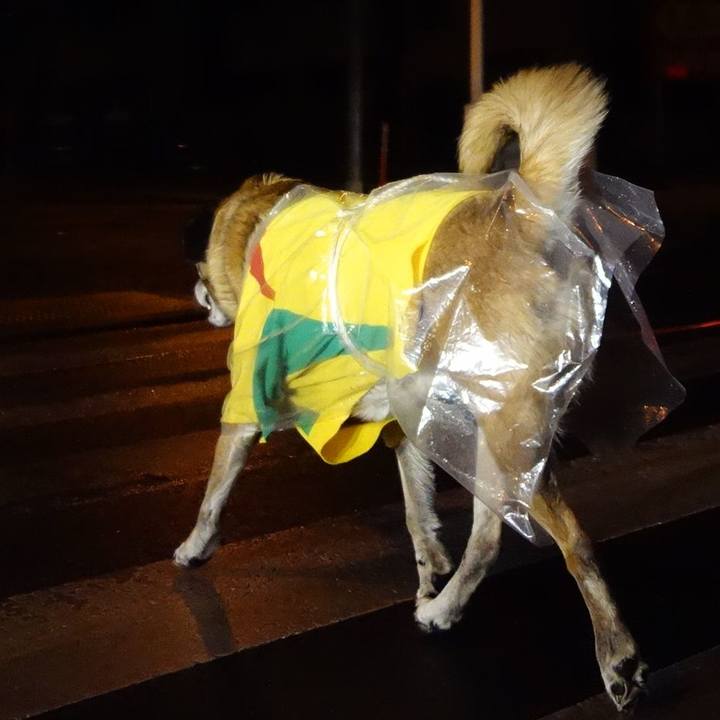 97454d1e ff63 40a5 97f3 62b229e51f1d 1544535058393