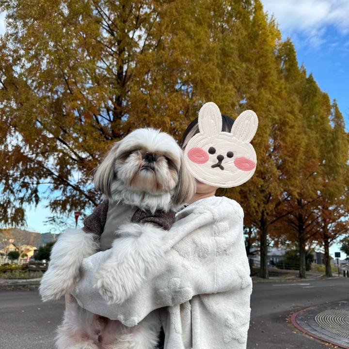 974553b0 660b 4d49 b8ba 36e7c2a2cf74 1764066244629