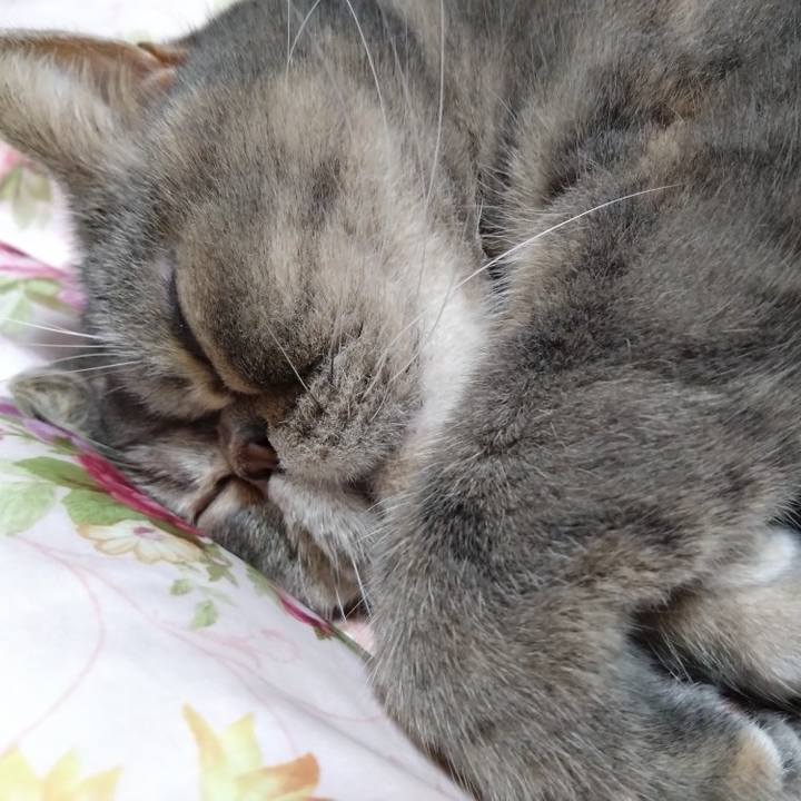 974559a1 41d7 43cc 8305 a59f5f11bb6e 1774272913284