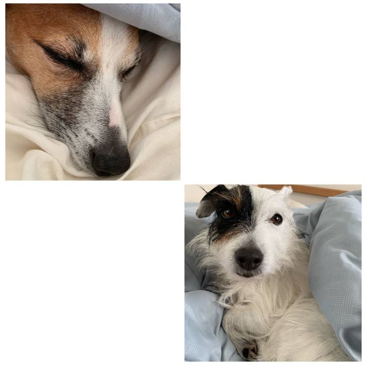 97459aaf efe3 4d83 b9c8 190e6186806c 1610236073227