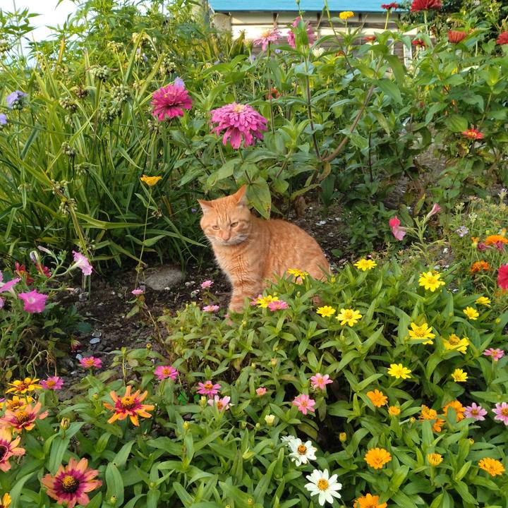 9745c06a 808f 48e8 951d af61bdc4e6a3 1690150977817