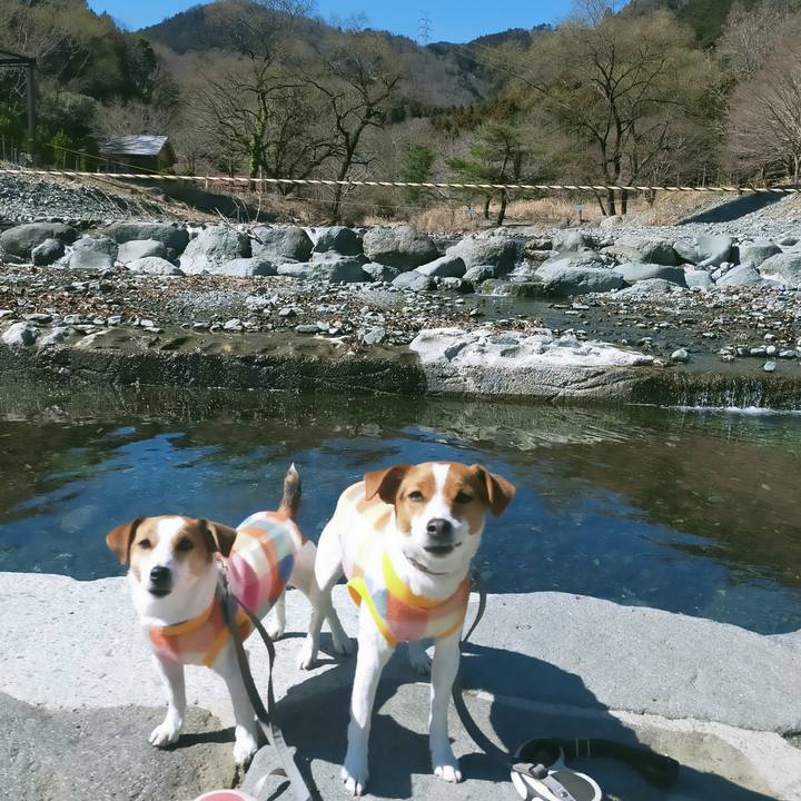 974611bc d4ec 49c9 9bab f14751fd60d5 1772962272018