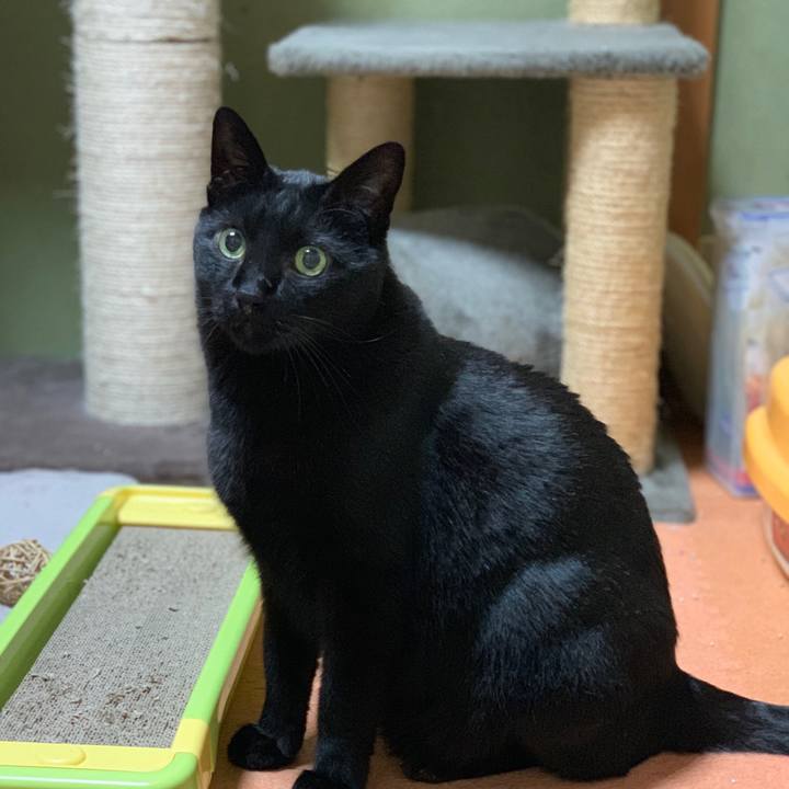 9746629b e519 468a a679 fcc0ee6a8be1 1550192970155