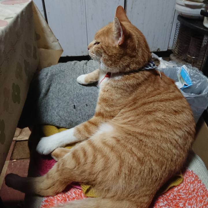 974682bf afb4 4f74 bad7 e2a43a0ba90d 1571884464252