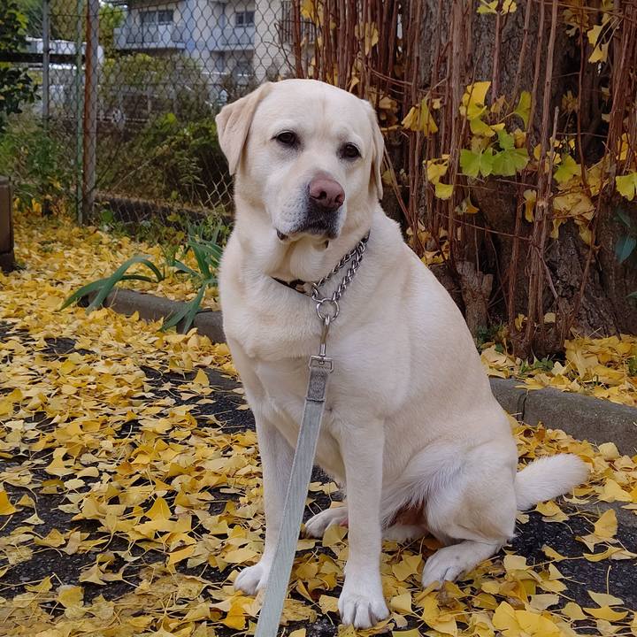 9746871a 6713 491e a6f8 854f6c028c9d 1637638143126