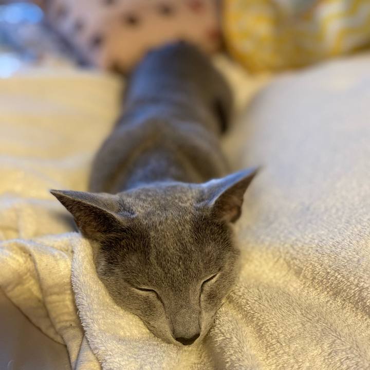 9746895c 2fc8 4fe0 9463 3138fbb1a7a0 1655032287920