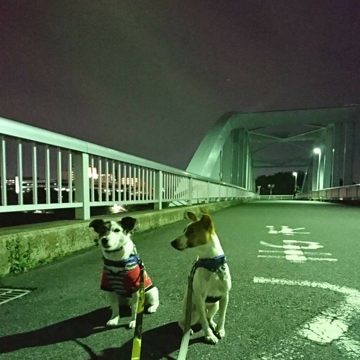 9746dbb5 f6e9 437c 8a95 3351b1bb8ee6 1524739794103