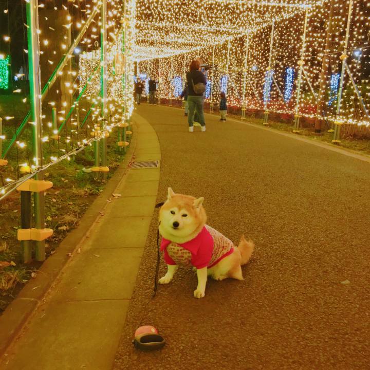 9746e63e 498c 4224 9cdd 51928a57ba27 1577105522377