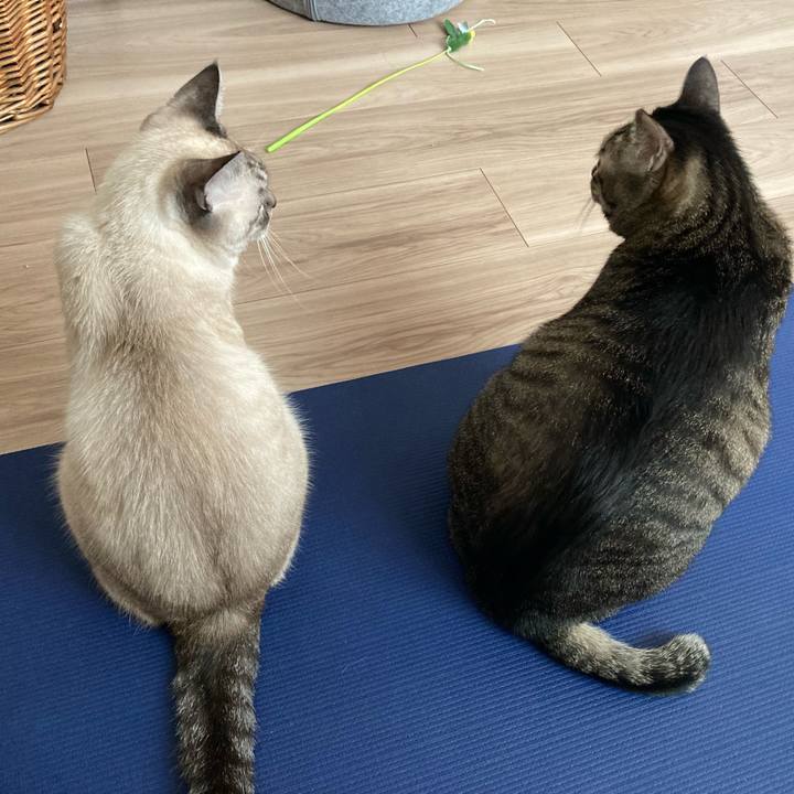 97478439 133f 4b4d 9c17 eccef912251a 1666409141996