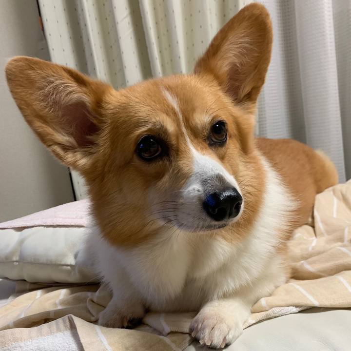 97479eec 6228 41bf 94cc 2f39f69d6e3d 1562410275742