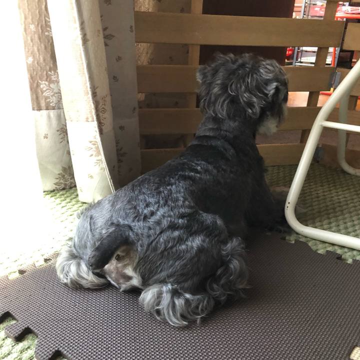 9747b9c7 192b 428b a578 7f6b5af49548 1694046252499