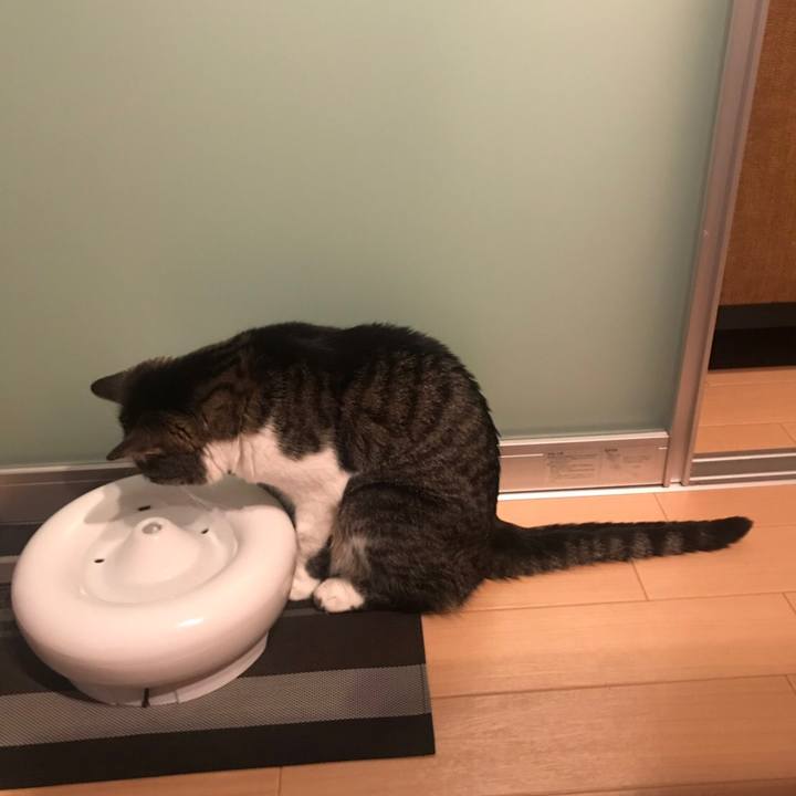 9747ea14 0f2e 4ad3 87ae f7b6db5e7cf6 1564716051385