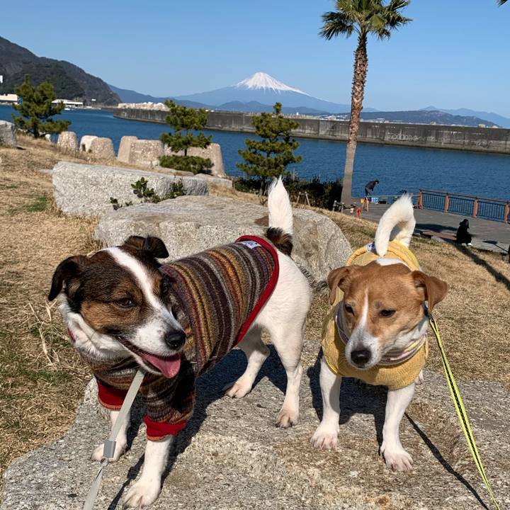 9747f941 5edb 4a0e 834e e1996dfe67da 1581403010856