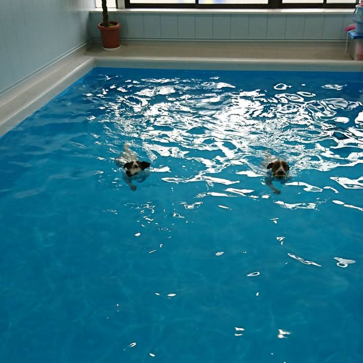 97480d14 4d76 4f61 9d5f c3409eaad8d9 1568455615339