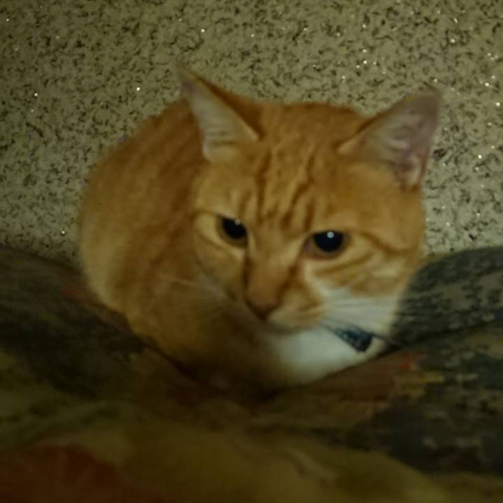 974838a4 7ab8 486e 8bb4 9b6e686ec2dd 1602075098814