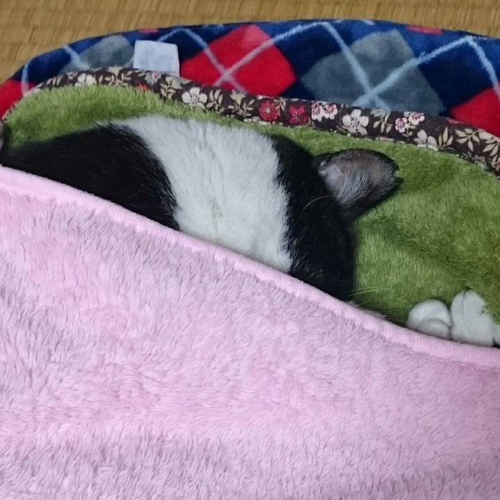 97484156 7ae0 4a3c 9586 d53b2aaa714d 1508908223379