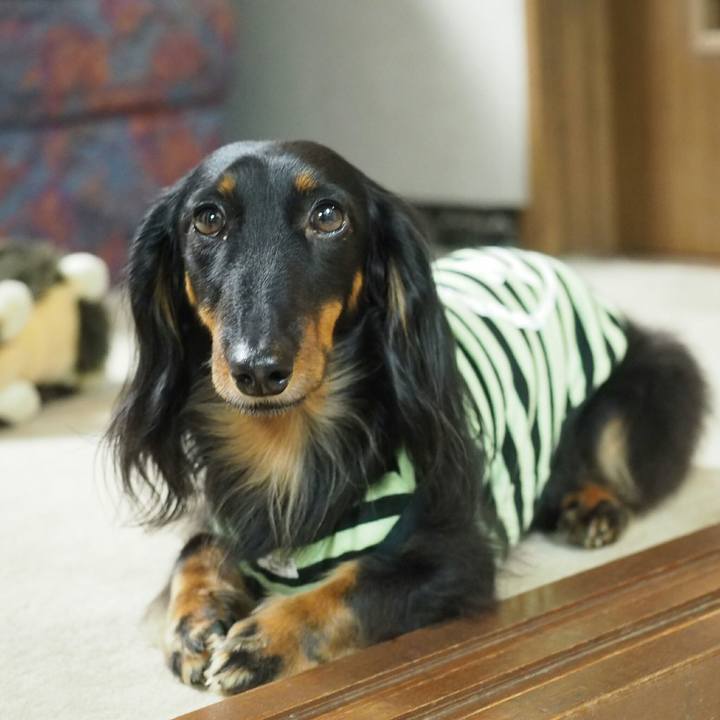 974849bf 2885 4043 83af b79f439ef0d0 1525653626572