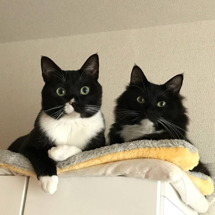 974883d3 b7c4 435a b294 33317bad311c 1518231205387