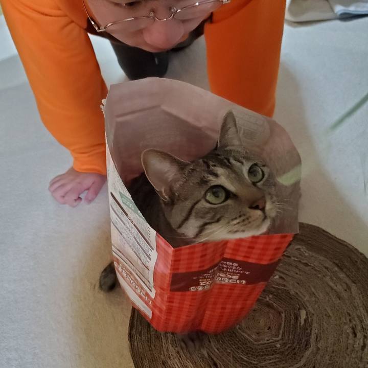 9748924e 28e4 4266 be32 b91a7a0f47d4 1711624686352