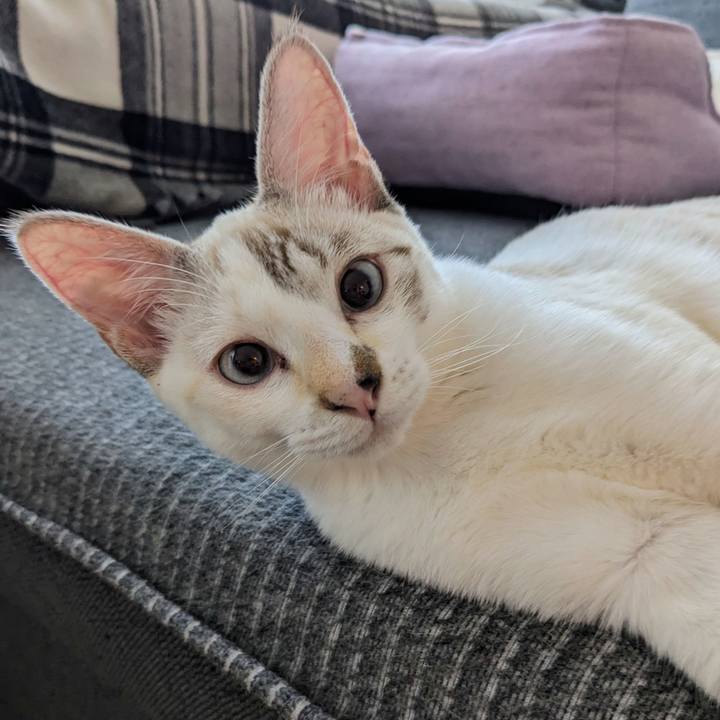 9748b906 a164 4ec8 823f 7e3d615cbd98 1697151702647