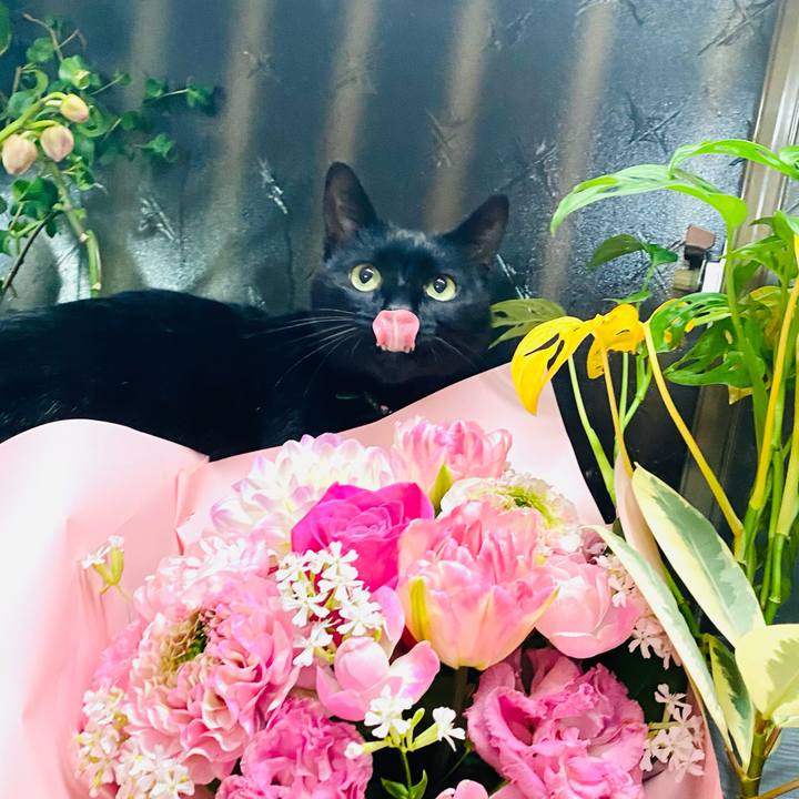 9748d9c6 8d95 49c7 8b10 ce6522d65a13 1708608702663