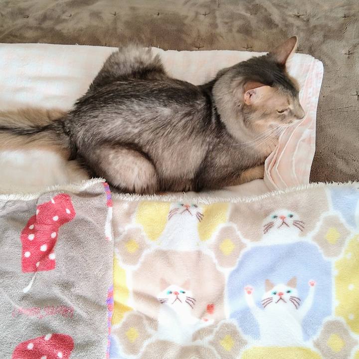 9748e2a2 a412 481f a5f9 4180054a4840 1612347940684