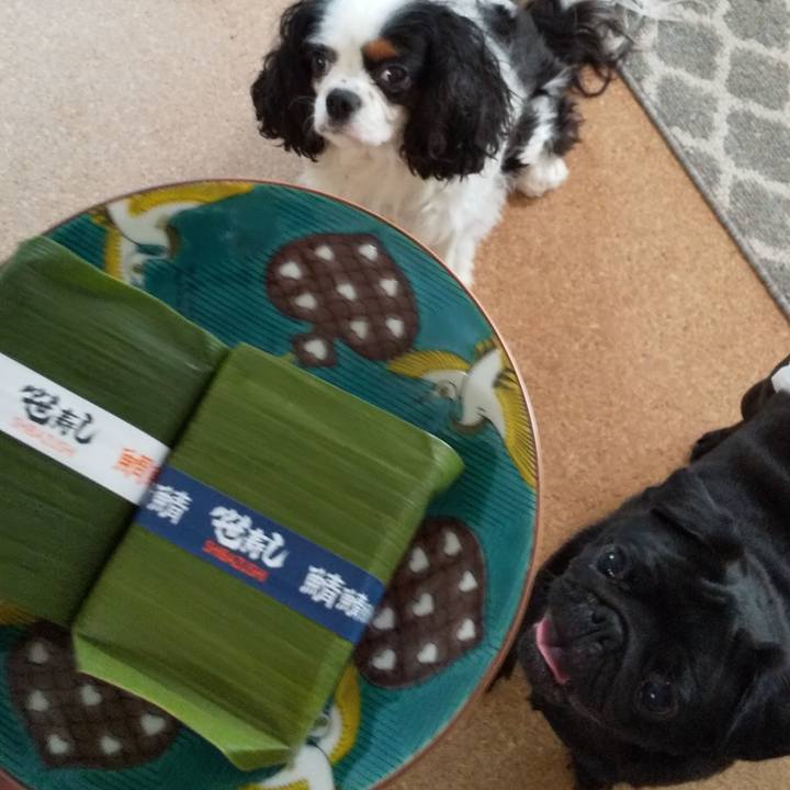 97490b5f b289 4de8 b790 eebe91b1f11d 1564979473551