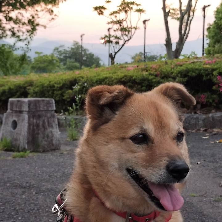 9749385d 81f4 4e3a a734 2afbb5e57e05 1749734808570