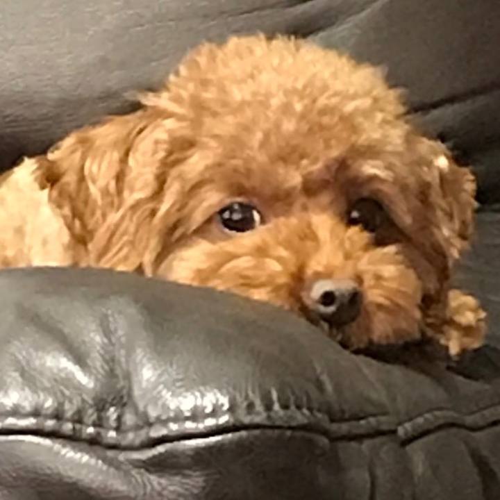 97495a3f 43cf 4d48 ab53 25342303e893 1568466938233