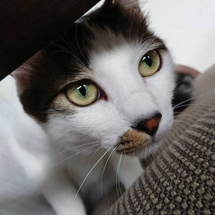 97495b19 f4c1 48af bad2 242093cc08f0 1510188250266