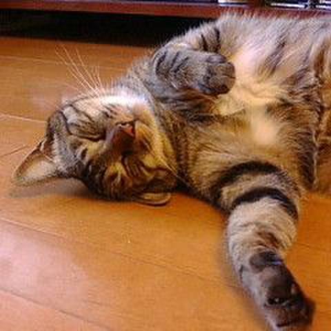 97496ed0 aa22 412c 9771 f9eb0e628331 1704375136053