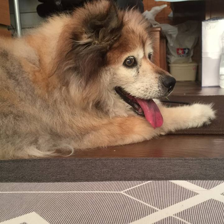 97497239 a58e 4f24 8506 604dcf0e02f5 1582578362055