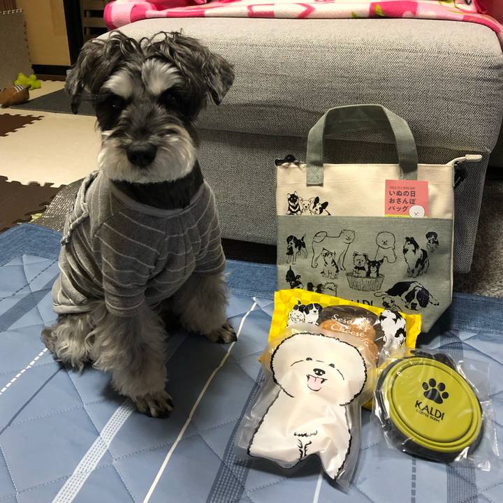 9749964d 1e36 493e 9740 f40cf9a71296 1667965877857