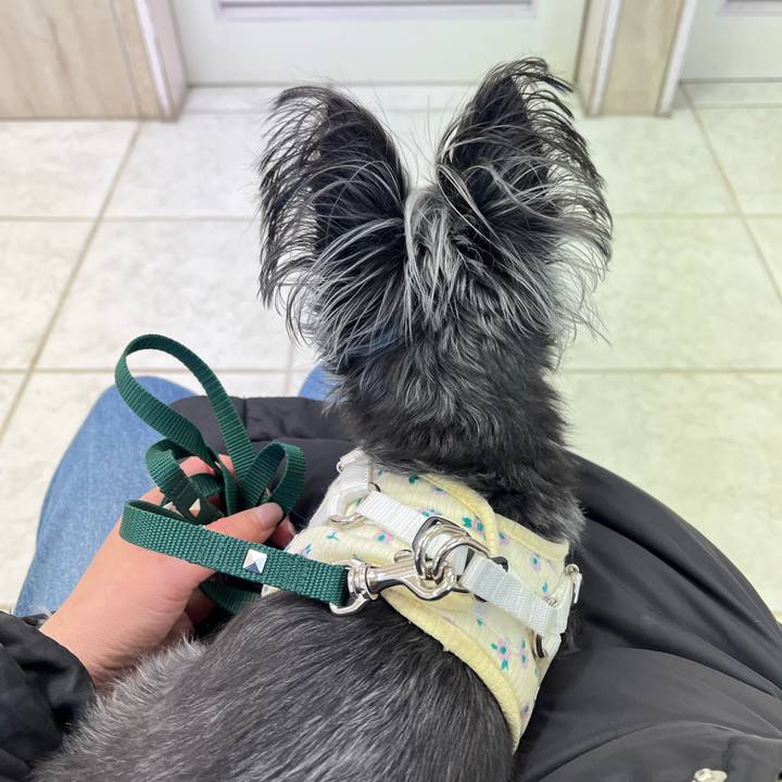 9749bfff a315 4d77 bce1 3e8c298f4501 1769845856523