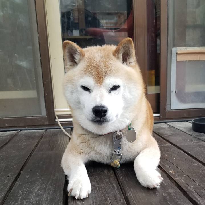 9749c360 b83a 435d 846e 5b93b4c32c3e 1716858425334